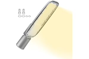 RIGIDON Esterno Proiettore Lampione Led, 100W 7212LM Luce Stradale a Led Per Giardino, Strada, Scuola, Parcheggio, Campo da Basket, Cortile, Piazza, Garage, 4000K Impermeabile Fari di Sicurezza