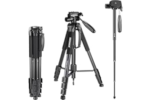 NEEWER Trépied Portable en Alliage d'aluminium 2 en 1 Maximum 177 cm avec tête pivotante à 3 Directions et Sac de Transport pour Appareil Photo, caméscope DSLR, DV