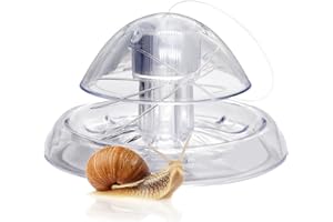‎WEAVERBIRD WEAVERBIRD Aquarium Schneckenfalle Snail Trap Klar Kunststoff Köder für Aquarium Pflanzen Planarian Leech Pest Catch Umwelt Aquarium Naturreiniger
