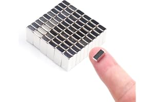 Deryun 60Pack Rectangular Magnets Bar Magnets Square Magnets Small Magnets for Crafts,Rectangle Magnets,Collar Stay Magnets
