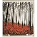 Produktbild Badezimmer Dusche Vorhang mit Haken, Nebelig Mystische Waldbäume und Red Grass Printing, 70x70 Zoll.