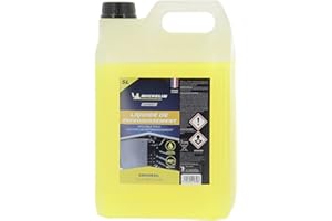 MICHELIN Expert 009356 Liquide de Refroidissement Universel, Tous Moteurs, 5 litres