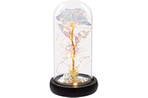 DREAM OF FLOWERS Cadeau de la fête des mères pour Maman, Rose éternelle colorée dans Un dôme en Verre, Rose de la beauté et de la bête, Cadeau pour Elle, Cadeau pour la mère, l'épouse, la Petite Amie