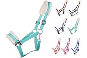 NETPROSHOP Solides Pferdehalfter gepolstert und verstellbar Gr. Mini Shetty bis Full u Kaltblut, Groesse:Shetty, Farbe:Tuerkis