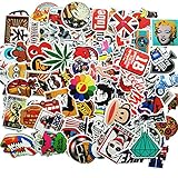100 verschiedene coole Aufkleber, verschiedene Themen und top trendig