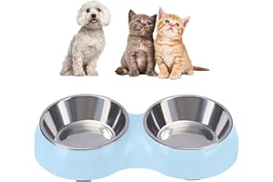 Camiter Paquete de 2 cuencos 2 en 1 para perros, comedero de acero inoxidable para comida y agua, antideslizante
