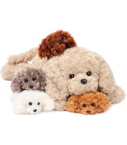 Chien Nounours : Les Races De Chiens Peluches