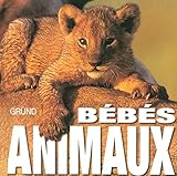BEBES ANIMAUX