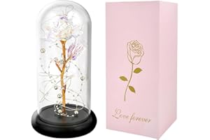 GARELF Birthday Gifts for Women,Christmas Rose Gifts for Her/Mom/Girls/Wife,Eternal Rose Artificial Flower in Glass Dome,Rose Flower Gifts for Anniversary/Thanksgiving/Valentine's Day, Colorful Rose