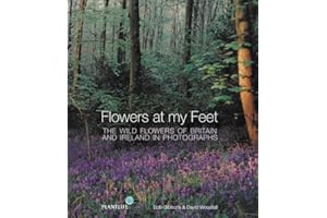 Flowers at my Feet: The wild flowers of Britain and Ireland in photographs