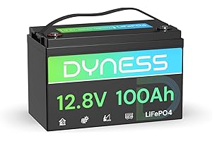 Dyness Batteria Litio 12V 100Ah LiFePO4 a Ciclo profondo con 100A BMS, Protezione Dalle Basse Temperature, Max. 15000 cicli, per Camper, Impianti Solari off-grid, Fotovoltaico Accumulo