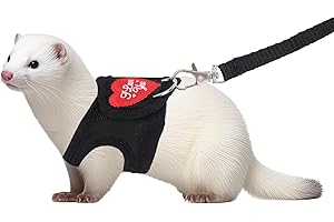 BOXOB Ensemble Harnais et Laisse pour Furet, Laisse Ajustable Imprimé Léopard Harnais Souple pour Petits Animaux Furets Cochons d'Inde Lapins Hamsters et Chatons (Noir)