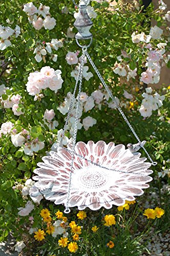 Vogeltränke zum hängen Futterstelle aus Eisen für Vögel mit 2 Vögeln Braun Wasserschale Rostfarben - 5