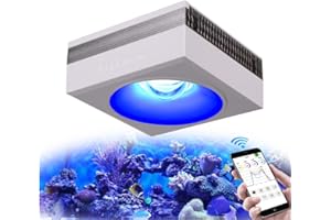 PopBloom RL90 WiFi Rampe LED Aquarium Eau de Mer 100W, APP Programme Marine Éclairage à Spectre Complet pour Aquarium de Corail, L'APP prend en charge le français (1 lampe avec kit de suspension)