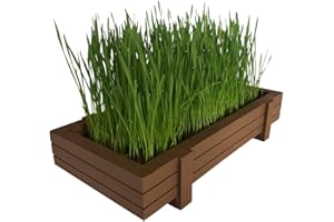 Microgreen Pros™ Organic Wheatgrass Seeds Wooden Planter Kit