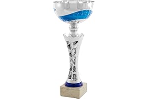 Art-Trophies | AT4194 - Trofeo Copa comercila Bicolor Plateada/Azul Cuerpo Colmena