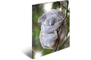 ‎HERMA HERMA Sammelmappe A3 Koala, Kinder Eckspanner-Mappe aus Kunststoff mit Tier Motiv, Hochglanz-Optik, Gummizug, Innenklappen und Innendruck für Jungen und Mädchen