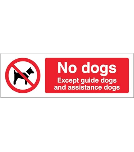 Adesivo Divieto Cani - Segnale Per Finestra "No Dogs Except Guide Dogs" 150x200mm, Sicurezza - 3