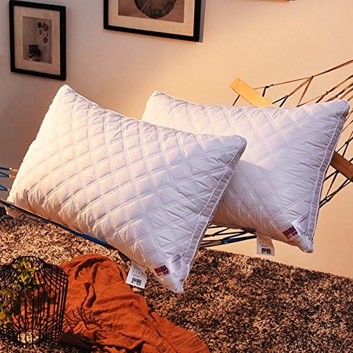 Jikonghome Super Soft Water Washable Feather Velvet Pillow Five-Star Hotel Pillow, Ling Grid Pillow