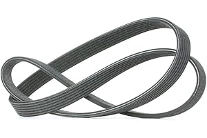 DAYCO 6DPK1215 Riemen