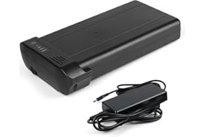 EIFDUHP 24V 10Ah Batteria per Bici Elettrica 350W 250W, Batteria Ricambio Ebike Li-ion con Caricatore per MiFa Zündapp Ansmann Portapacchi Posteriore Bici (24V 10Ah)