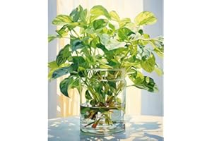 hoshiron Dipingere con i Numeri Adulti, Paint by Numbers Kit, Colorare con i Numeri Adulti, Dipingi con i Numeri con Tela, Vernice Acrilica e 3 Pennelli(senza Cornice30 x 40cm-Fiori 06