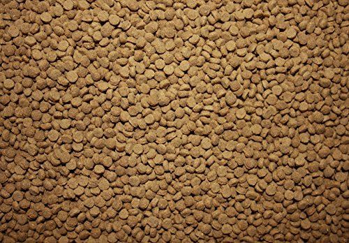 Saito Professional 2kg Futter Koi 3,0mm - 2