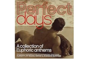 Perfect Days - A Collection Of Euphoric Anthems