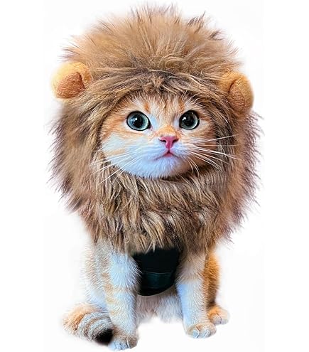 Cape De Vampire Pour Chien Et Chat - Costume Halloween Rouge Et Noir - Tour De Cou Réglable 17-40 Cm | Pour Petit/moyen Chien Et La Plupart Des Chats