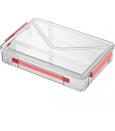 Hltjuds 2 Pack Document Storage Clear Plastic Storage Boxes With Lids