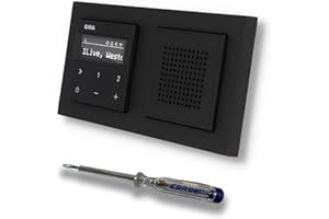 EBROM SET IDEE Gira Unterputz IP Internetradio 232003 + Bluetooth Komplett-Set mit Lautsprecher - E2 schwarz matt mit 2fach Rahmen Gira 021209 inkl. EBROM Phasenprüfer zur Montage der Geräte