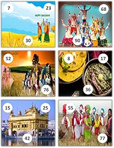 Feliz Punjabi Theme Tambola Tickets Set of 24 (housie Tickets)