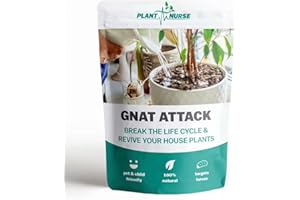 PLANT NURSE Gnat Attack, Anti Fungus Gnat treatment for houseplant, Black Flies, and Mosquito Larvae, 100g measuring spoon included