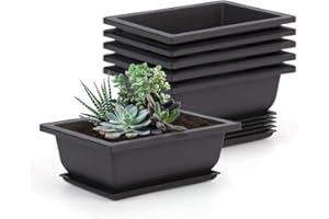 Tiamu Maceta de Plástico, 6PCS Macetas para Flores y Plantas para Plantas de bonsái/plántulas/macetas de jardín Decorativas(22,5 x 16,5 cm)