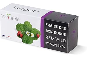 Véritable Lingot® Fraise des Bois Rouge - Compatible Potager d'Intérieur et Exky® - Recharge prête à l'emploi - Substrat avec Graines Intégrées…