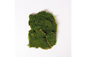 CLOROPHILLA. Musgo plano estabilizado 100% natural apto para paredes, decoración, jardines verticales – 150 g