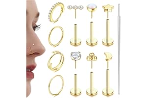 Adramata Piercing Nariz Acero Quirurgico Piercing Labret Empuje Sin Rosca Piercing Labio CZ Pendiente Piercing Pequeño Piercing Nariz Aro Piercing Helix Oro Plata Piercing Oreja Piercing Tragus