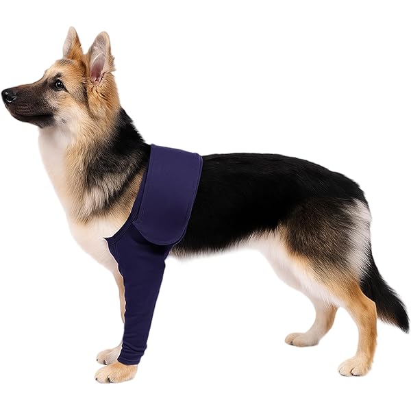 Chien Manchon De Récupération Pour Patte Avant Protège-coude Pour De
