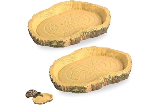 Bol D'Alimentation Pour Reptiles,2 pièces Bol d'alimentation pour Reptiles Nourriture Tortue terrestre, Nourriture pour Bol pour Reptiles en Feuilles, Bol à Boire pour Maison De Tortue, Bol d'eau