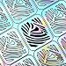 BMC 5 Sheet Holographic Nail Art Vinyl Sticker Guides - Water Marble Collection