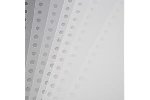 SOCOBETA Película de encuadernación de PP 10 piezas A4/A5/B5 transparente PP película de encuadernación fiable impermeable para estudiantes para oficina (10 hojas de blanco mate 30 agujeros A4)