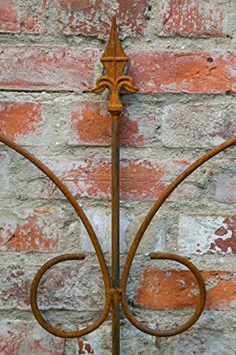 Beetzaun Metall Steckzaun Rost B: 70cm H: 130cm verlängerbar Metallzaun Zaun - 8