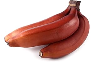 MY EXOTIC FRUIT Red banana X3 - Exotic fruit - Fresh from Ecuador