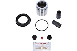 Bigg Red - Front Brake Caliper Repair Seal Kit & Pistons - Compatible with Fusion, Puma, Fiesta, Street KA, TT, A3,A1, 3 Series, Golf, Jetta, Eos, Caddy III,