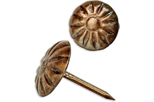 FUXXER® Lot de 100 clous décoratifs en cuivre pour décoration vintage 11 mm