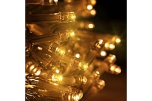 HHMTAKA Fairy Lights with 40 Warm White LEDs on 6m of Clear Cable (Warm White)
