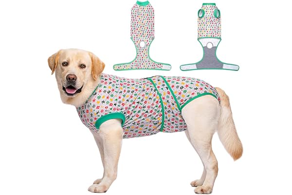 KUTKUT cotton After Surgery Dog Recovery Onsie Medium Large Dogs, Female Maledog Recovery Suit Abdominal Wounds Bandages E-Collar & Cone,Prevent Licking (Size: Xl, Chest: 70-80Cm, Green, 1 count)