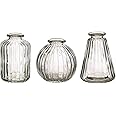 Sass & Belle Plain Glass Bud Vases - Set of 3