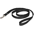 PetSafe Nylon Dog Leash - Strong, Durable, Traditional Style Leash with Easy to Use Bolt Snap - 1 in. x 6 ft, Black