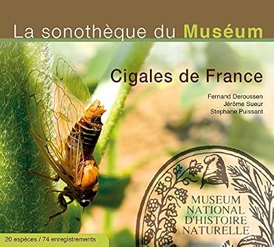 Cigales de France (Muséum)